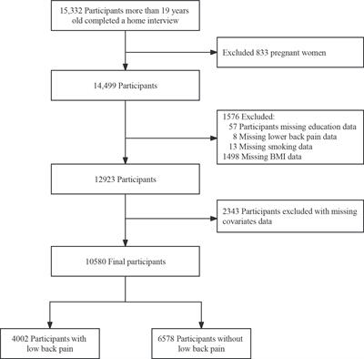 Smoking and BMI mediate the causal effect of education on lower back pain: observational and Mendelian randomization analyses